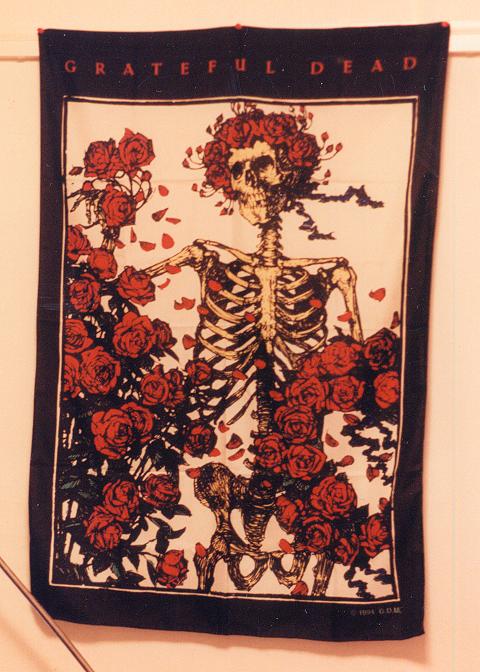 Grateful Dead Skull & Roses